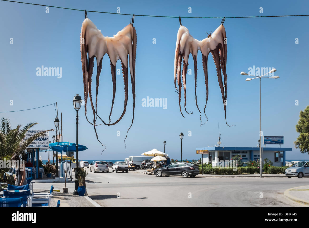 Des étrangers envahissent le front de mer de Mastichari à Kos, îles Dodécanèse, Grèce. En fait, deux calmars pendent pour sécher ! Banque D'Images