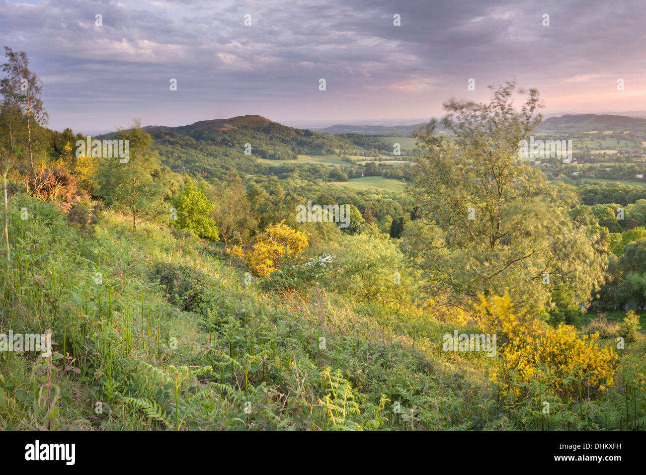 Camp britannique à travers le feuillage au début de l'été verdent de Pinnacle Hill, Malvern, au coucher du soleil Banque D'Images