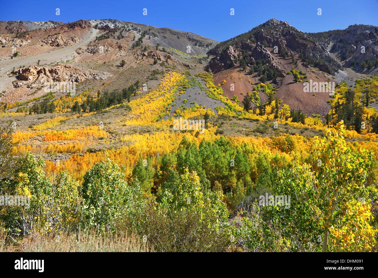 Les couleurs de l'automne de l'orange, rouge et jaune Banque D'Images