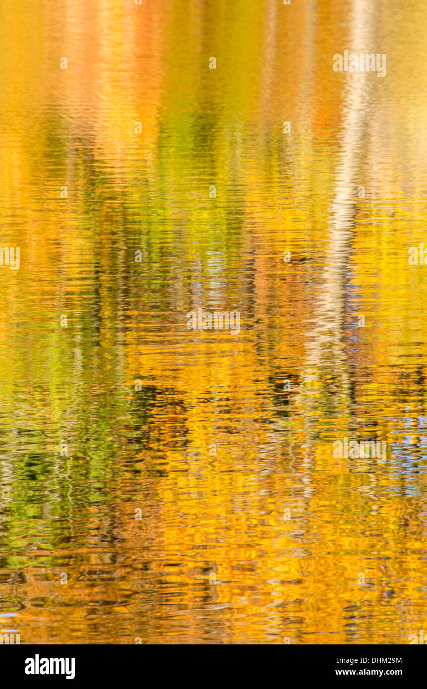 Résumé des réflexions des couleurs d'automne au lac Elkhorn, Columbia, Maryland. Banque D'Images