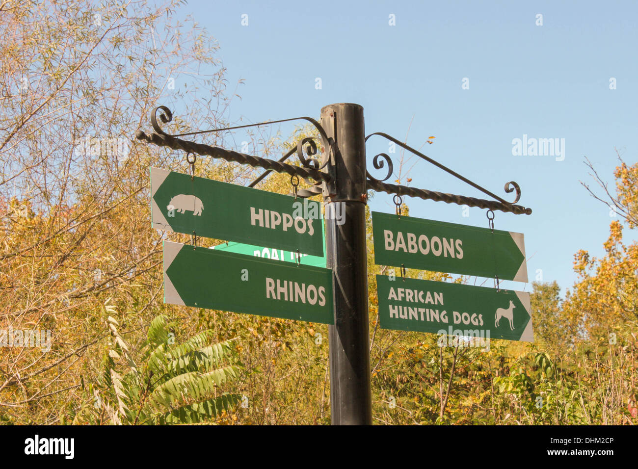 Inscrivez-zoo lors d'une journée ensoleillée en pointant sur les babouins et rhinocéros hippopotames Banque D'Images