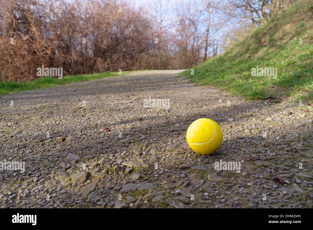 Balle de tennis solitaire Banque D'Images