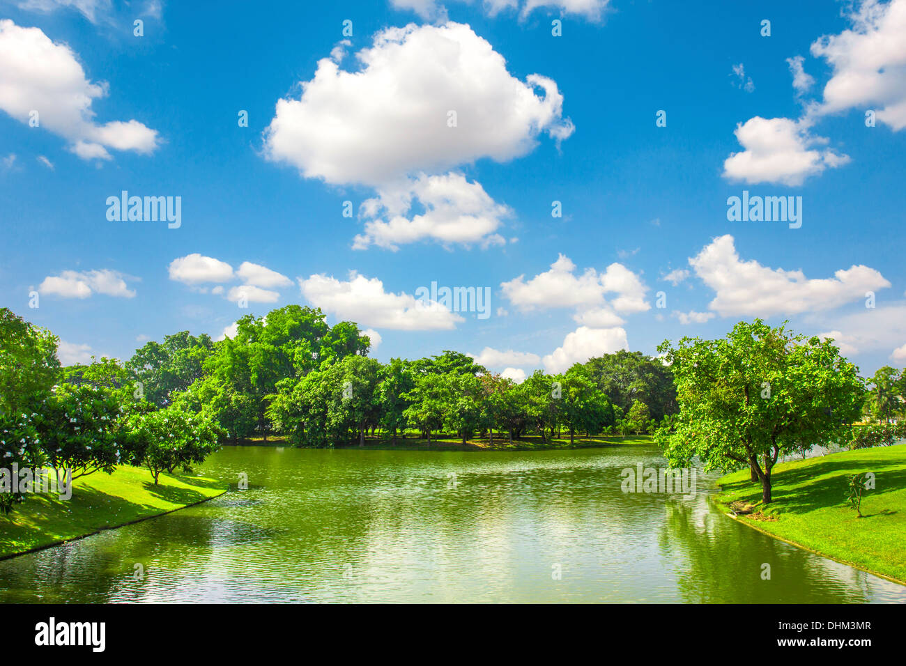 Green Park outdoor avec bleu ciel nuage Banque D'Images