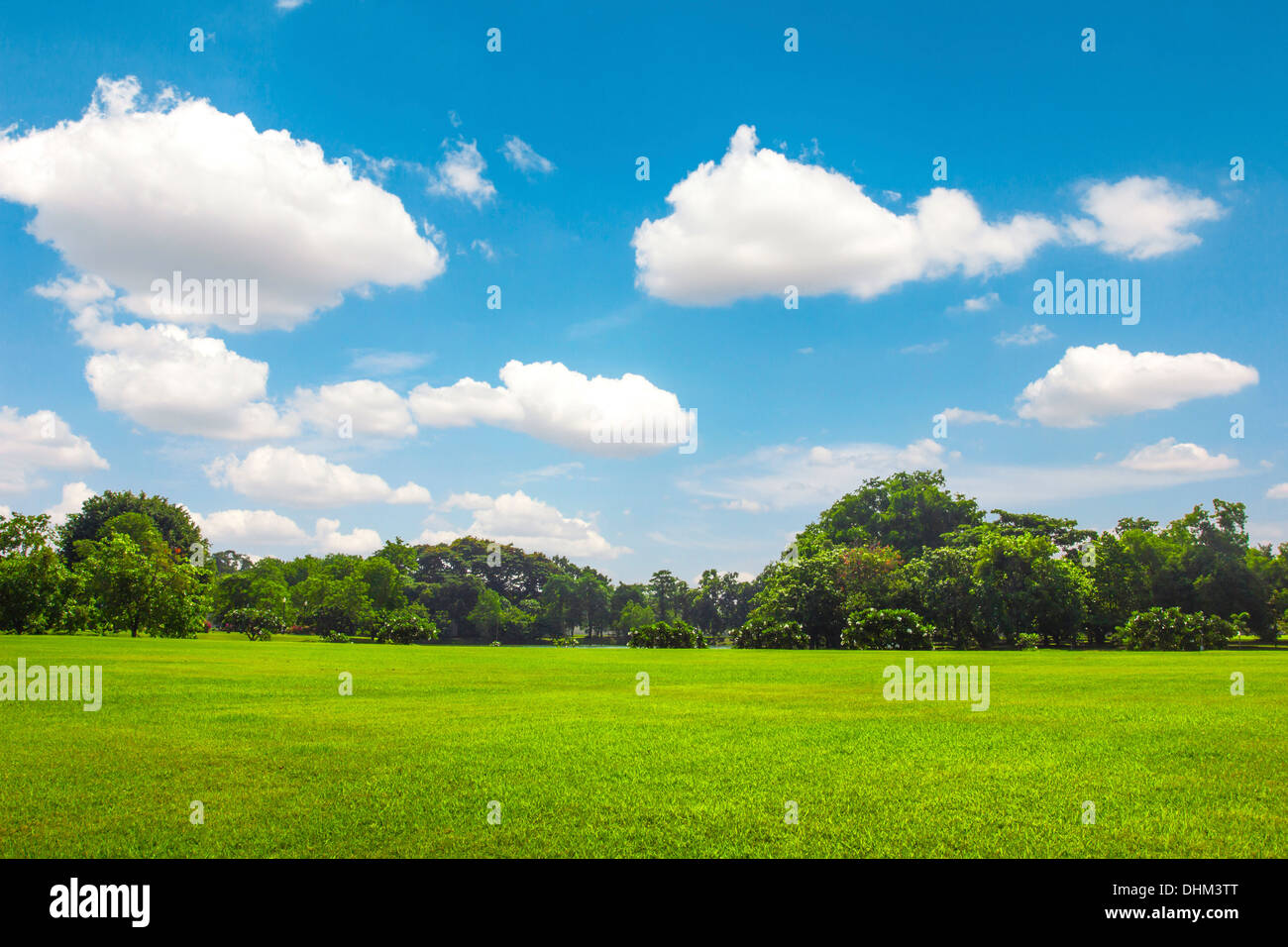 Green Park outdoor avec bleu ciel nuage Banque D'Images