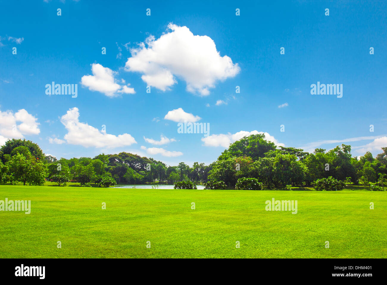 Green Park outdoor avec bleu ciel nuage Banque D'Images