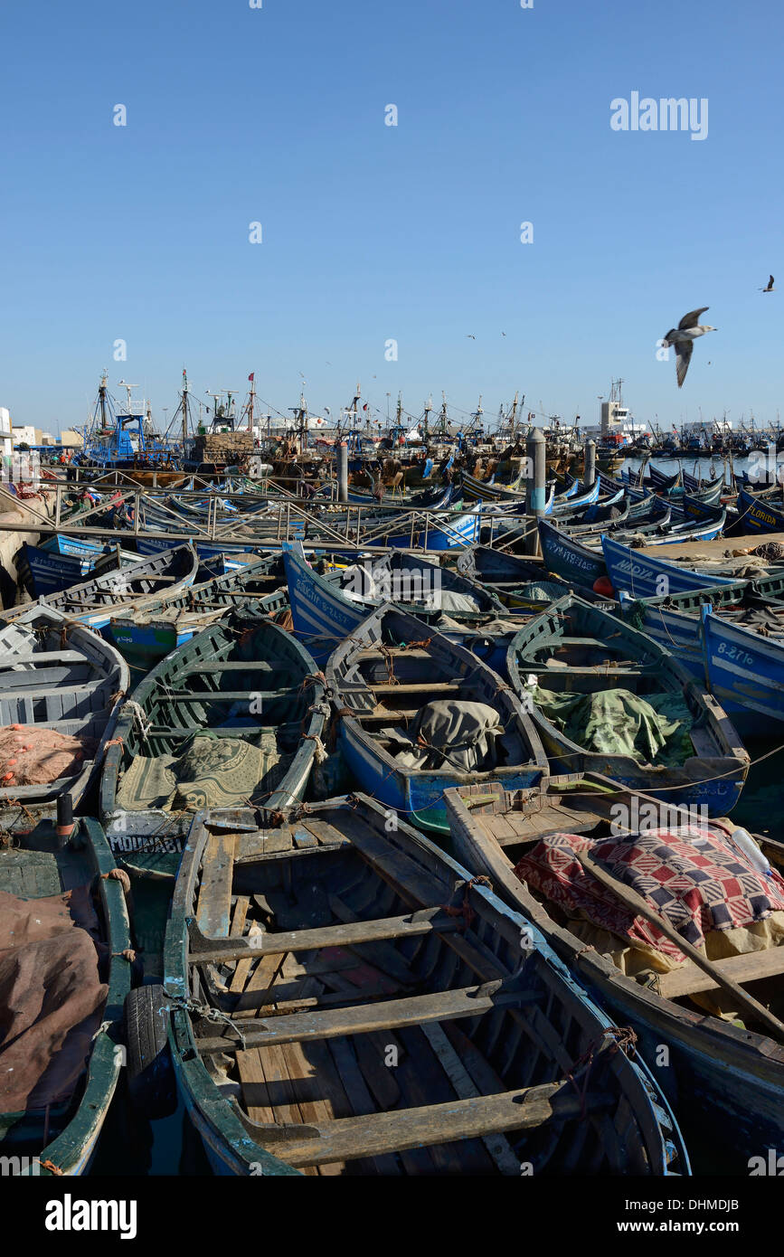 Maroc, Agadir, bateaux de pêche au port Banque D'Images