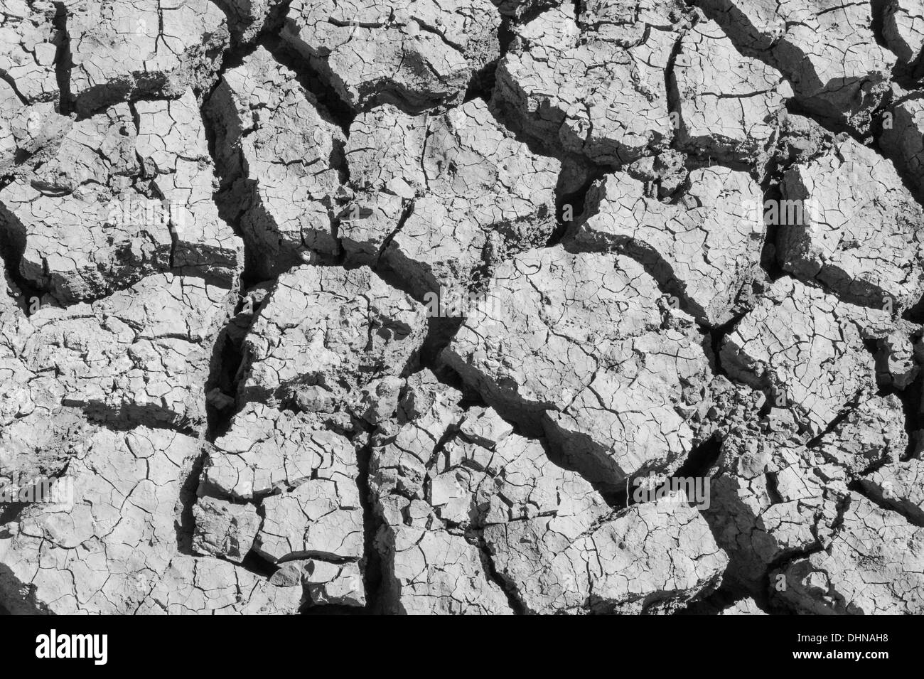 La boue craquelée et séché le sol - noir & blanc Banque D'Images