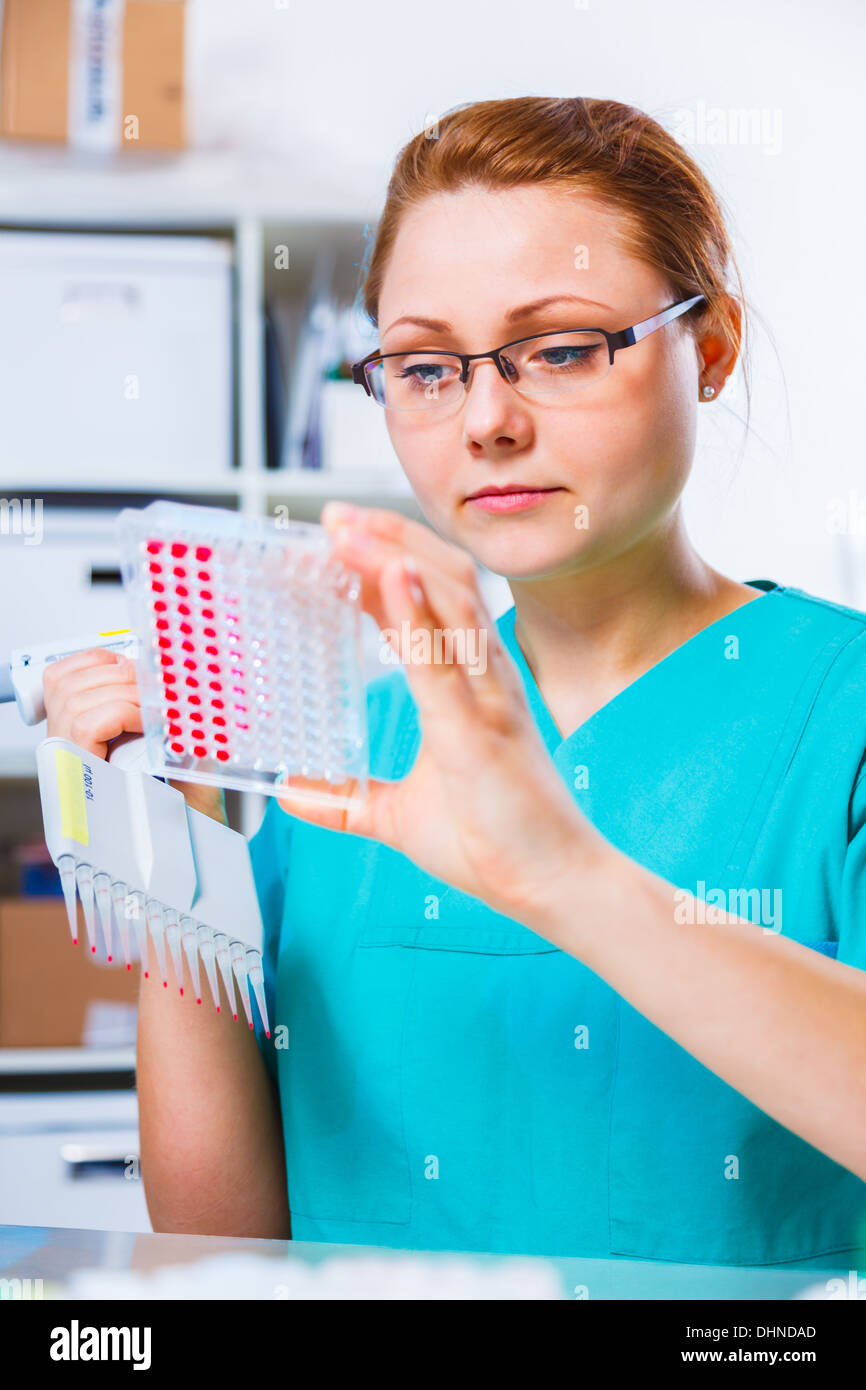 Tech femelle ou scientifique travaille avec pipette in biological laboratory Banque D'Images