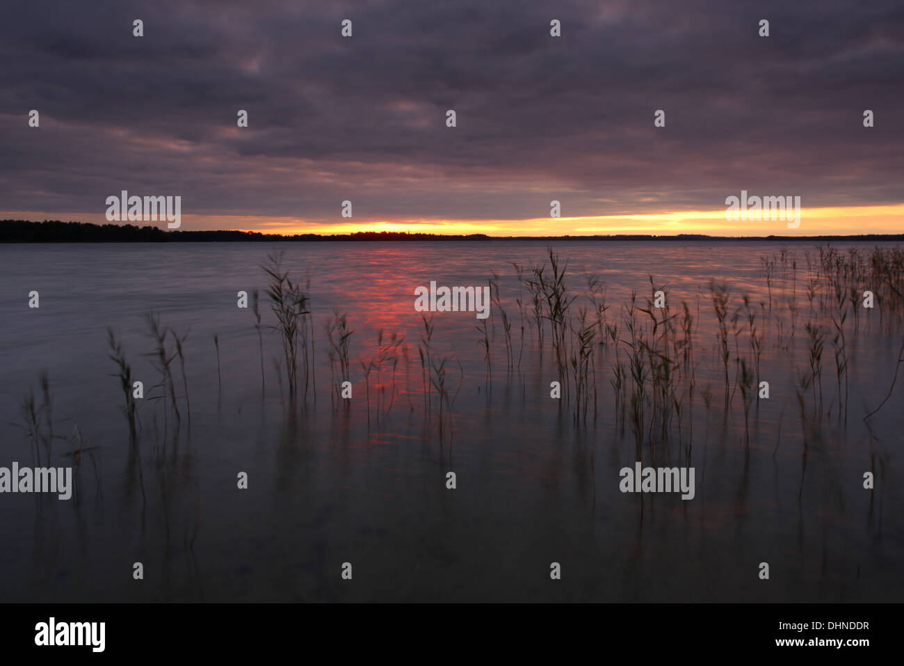 Saadjärv Lac au coucher du soleil. L'Estonie, Europe Banque D'Images