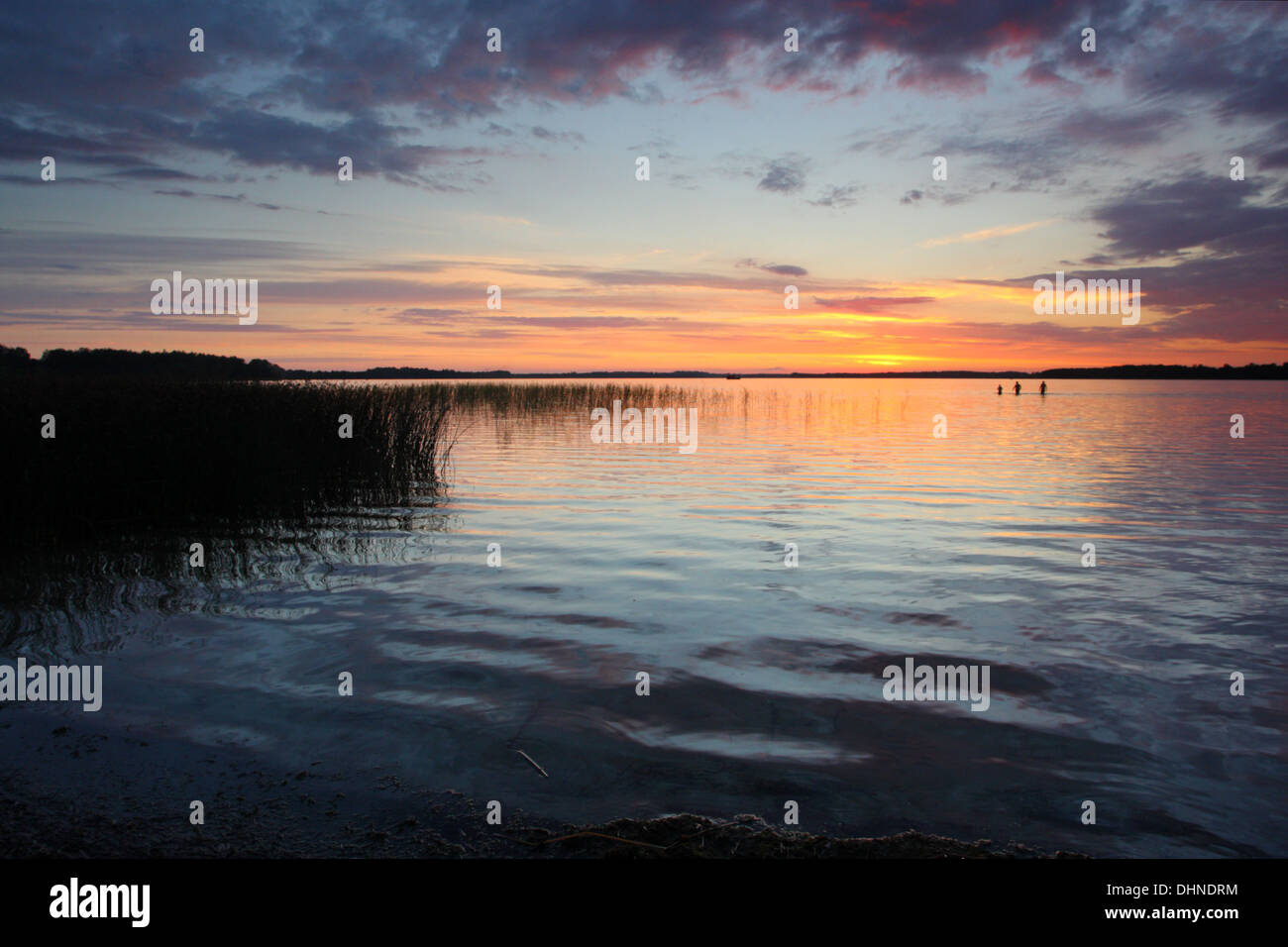 Les nageurs au lac Saadjärv au coucher du soleil. L'Estonie, Europe Banque D'Images