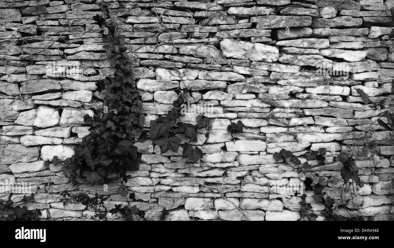 Mur en pierre sèche traditionnelle, Bibury Court, Gloucestershire Banque D'Images