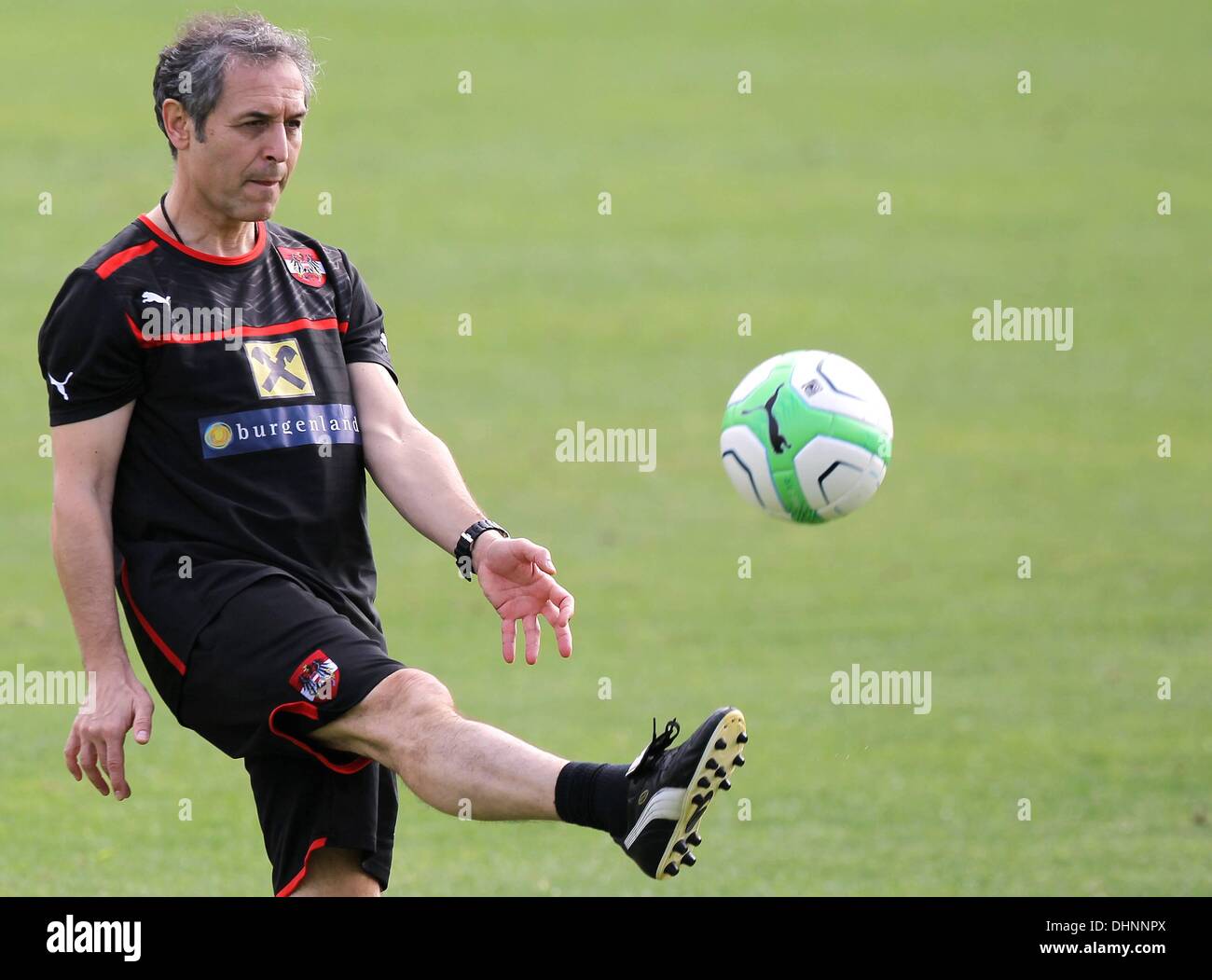 Alicante, Espagne. 13 nov., 2013. Le football international avant-match amical pratique avant l'Autriche contre l'équipe de France match amical patron Marcel Koller AUT © Plus Sport Action/Alamy Live News Banque D'Images