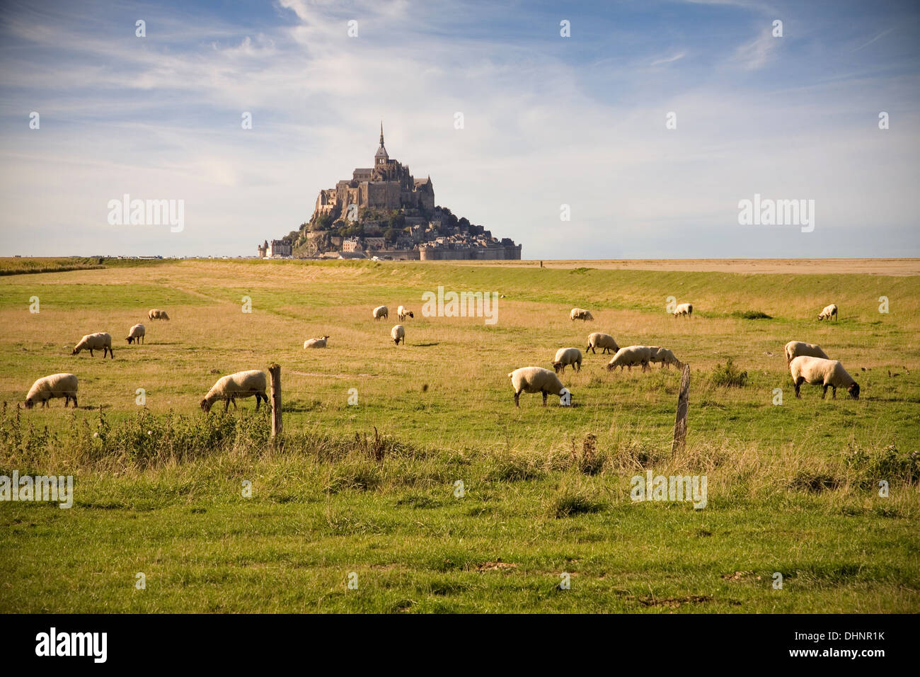 Le Mont-Saint-Michel et les moutons dans le pâturage Banque D'Images