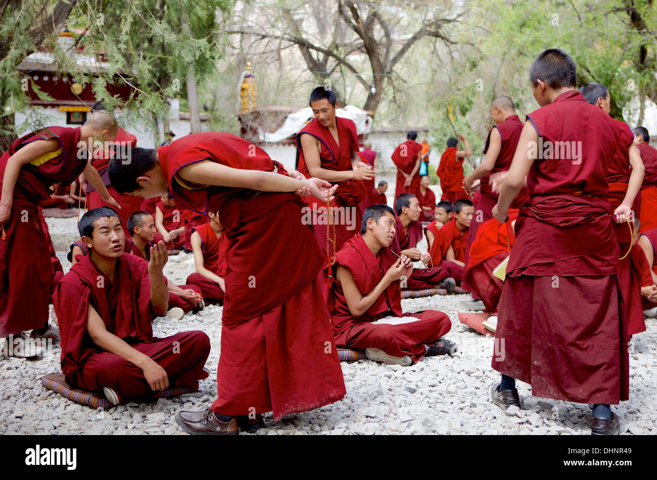 Les jeunes moines bouddhistes tibétains du débat dans la cour à monastère de Séra Lhassa, Tibet, Chine, Asie Banque D'Images