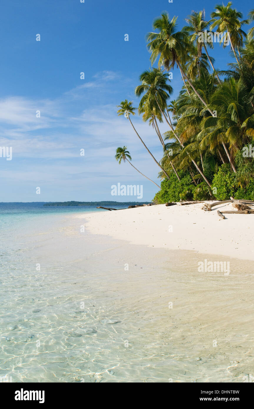 Tropical Island - mer, ciel et palmiers Banque D'Images