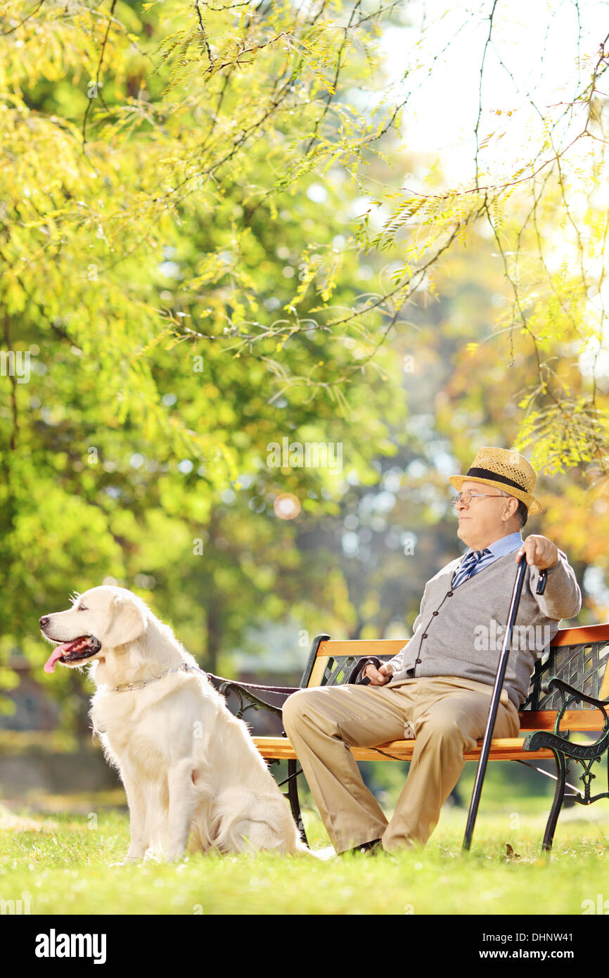 Représentant Senior assis sur banc avec un labrador retriever de vous détendre dans un parc Banque D'Images
