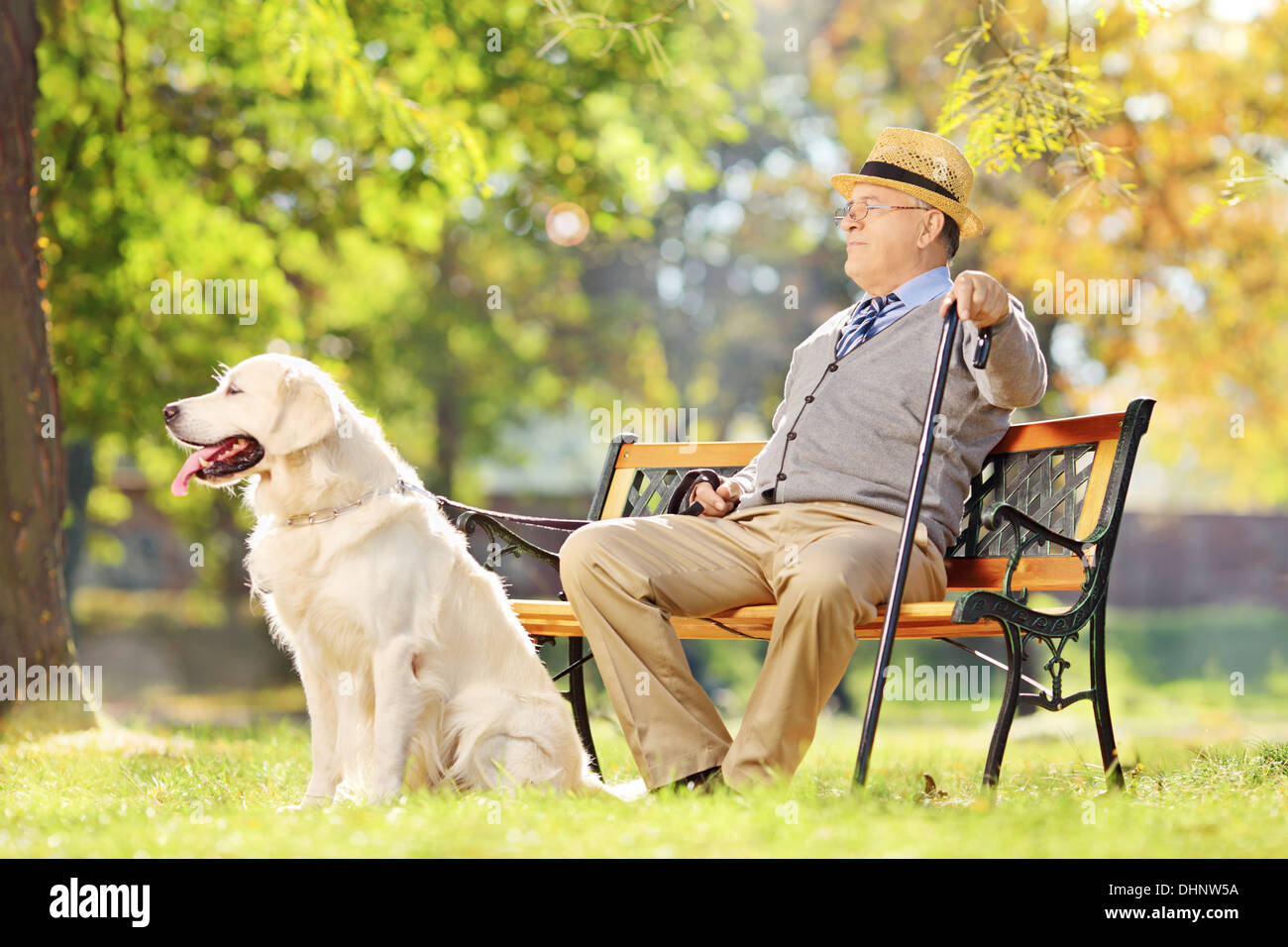 Assis sur les banc en bois avec son chien et vous détendre dans un parc Banque D'Images