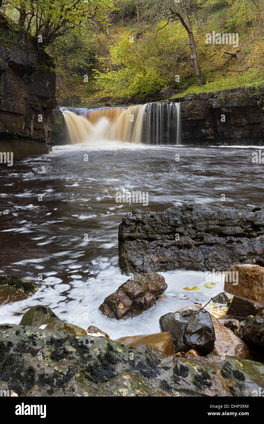 La rivière Swale à Kisdon vigueur près de Keld Swaledale Yorkshire Dales UK Banque D'Images