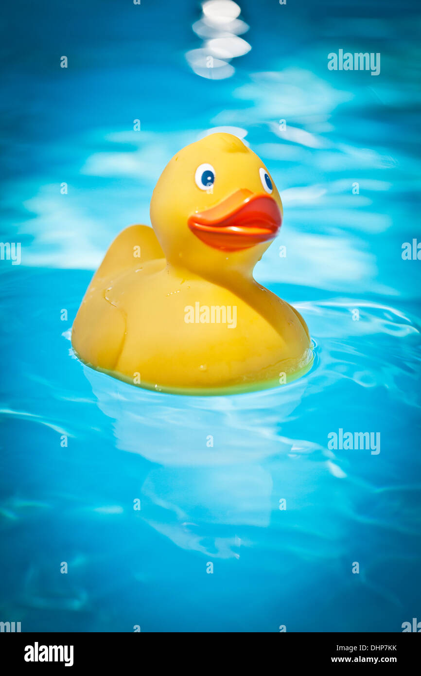Canard en caoutchouc de la piscine Banque D'Images