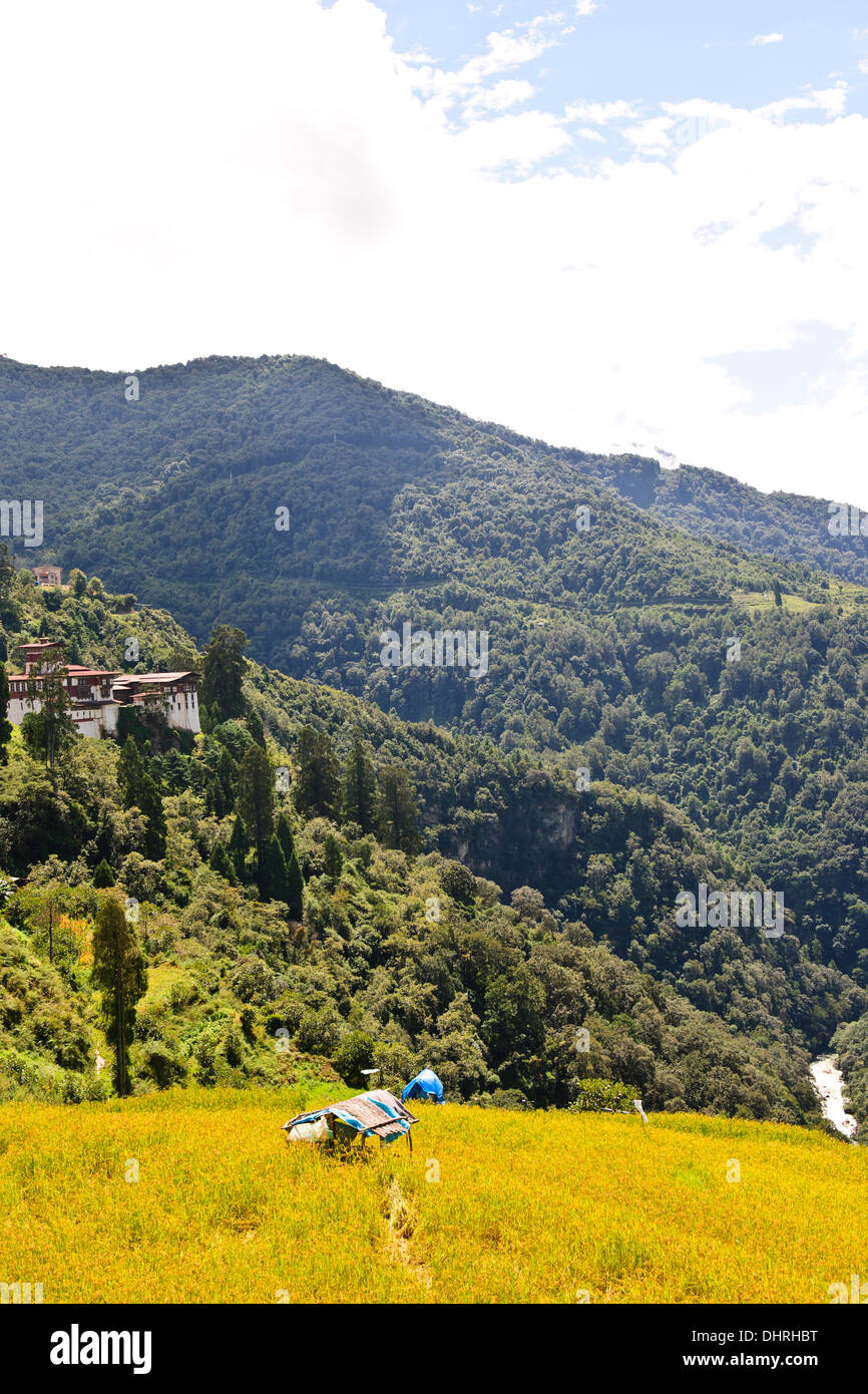 Collines Trongsa Dzong,Rivière Mangde Chhu,,,,Marché Trongsa Kings Retreat,vues de l'hôtel Resort Yanghil,on,l'Est du Bhoutan Banque D'Images