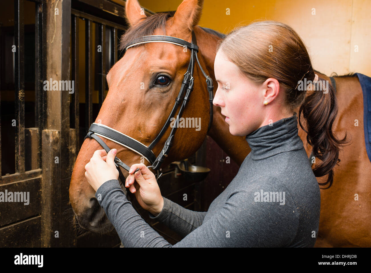 Bride femme un cheval dans l'étable Banque D'Images
