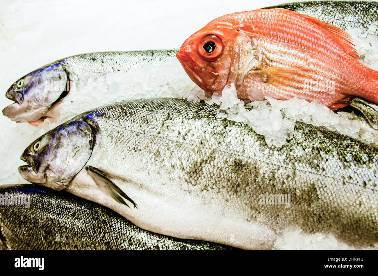 Close-up de poisson frais sur un lit de glace à la vente y compris le vivaneau. Banque D'Images