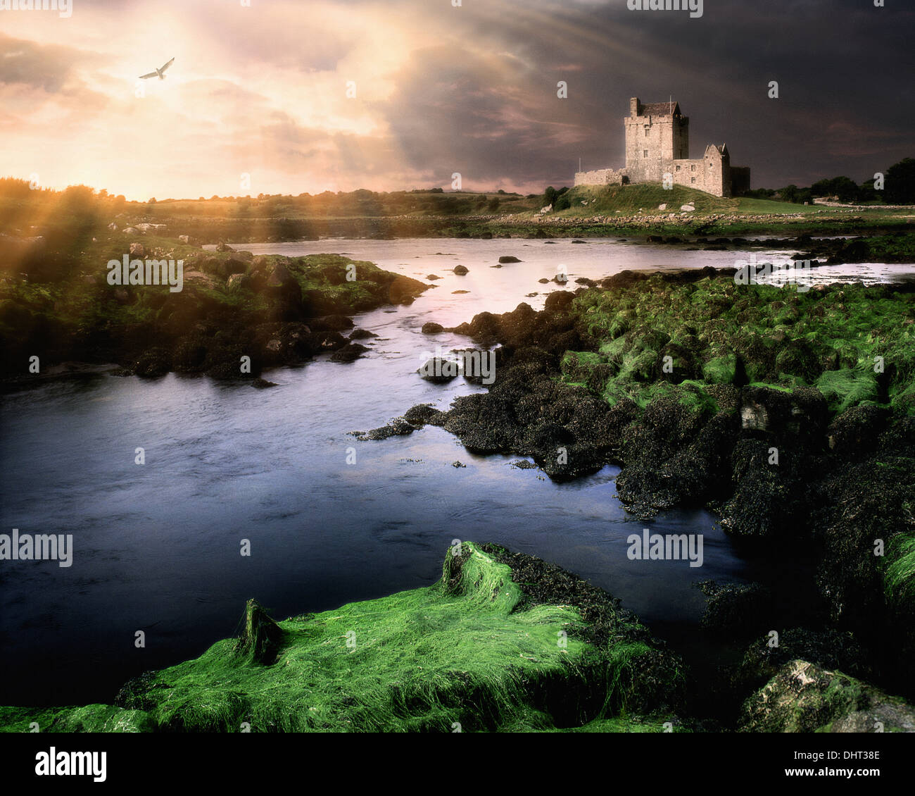 IE - CO.GALWAY : Dunguaire Castle Banque D'Images