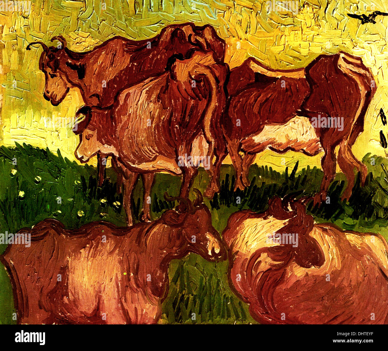 Les vaches - par Vincent van Gogh, 1890 Banque D'Images