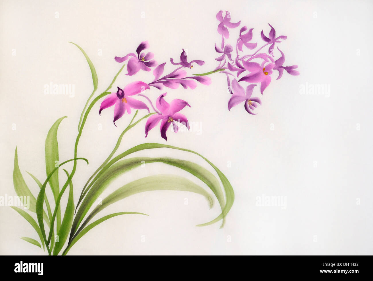 Aquarelle peinture originale d'orchidées mauve sauvage - Peinture de style asiatique orchidées mauve. Banque D'Images