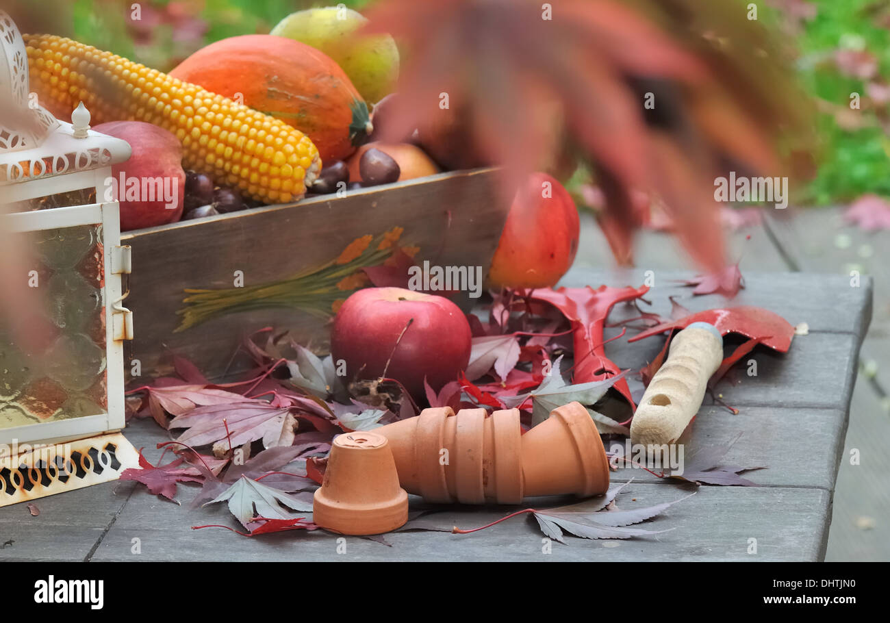 Fruits et légumes de l'automne sur une table avec des outils de jardinage Banque D'Images