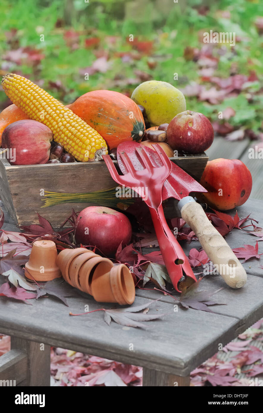 Fruits et légumes de l'automne sur une table avec des outils de jardinage Banque D'Images