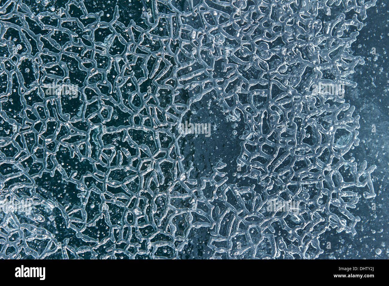 La texture de la glace des bulles de glace pure de Baikal Banque D'Images