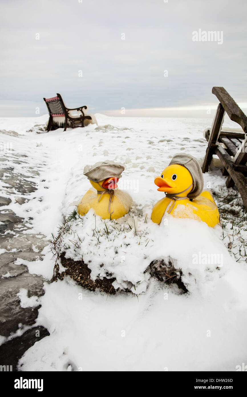 Pays-bas, Marken, appelé le lac IJsselmeer. L'hiver. Chaises et canards jouet dans la glace Banque D'Images