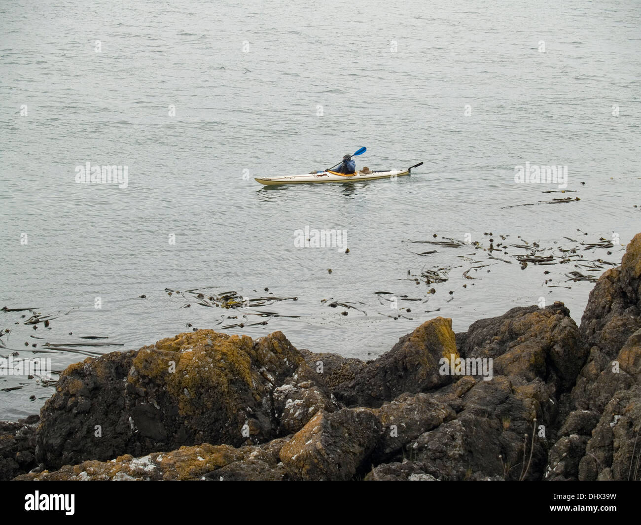 Pagayer un kayak de mer au large des côtes des îles San Juan,l'État de Washington Banque D'Images