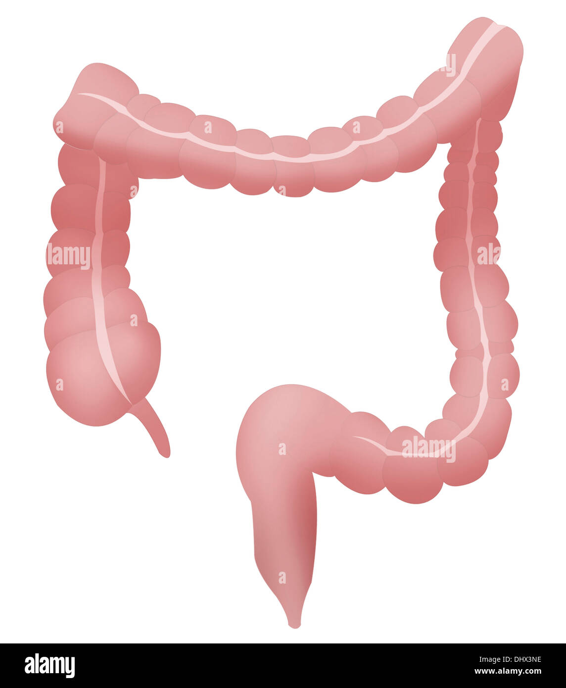 COLON, DESSIN Banque D'Images