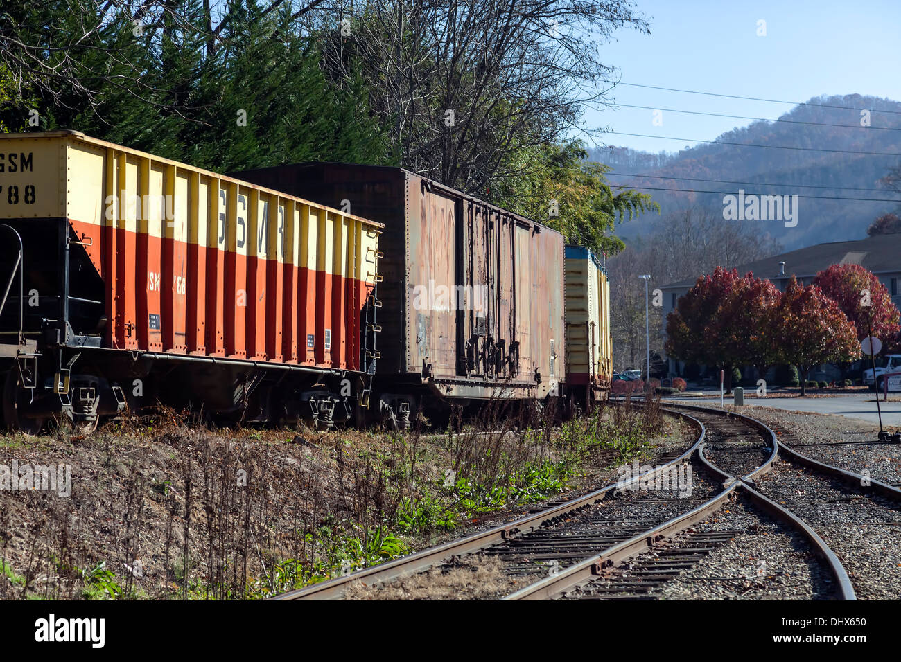 Voitures de chemin de fer inutilisées stockés sur un éperon latéral dans les Smoky Mountains près de Cherokee et Sylva, North Carolina, USA. Banque D'Images