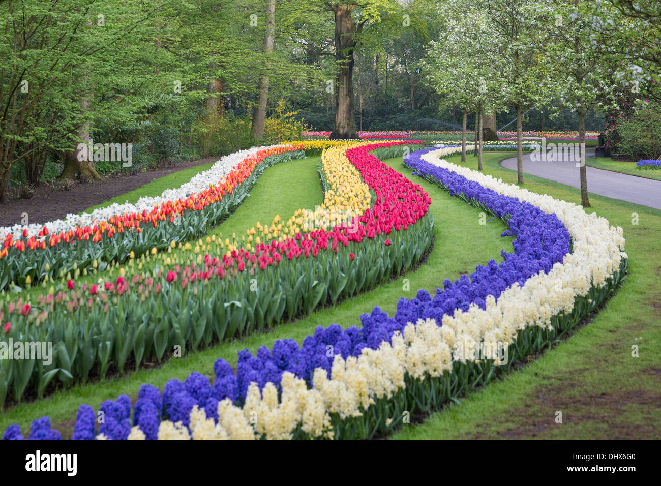 Pays-bas, lisse, les jardins de Keukenhof Banque D'Images
