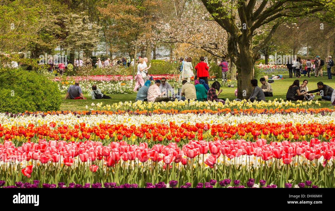 Pays-bas, lisse, les jardins de Keukenhof Banque D'Images