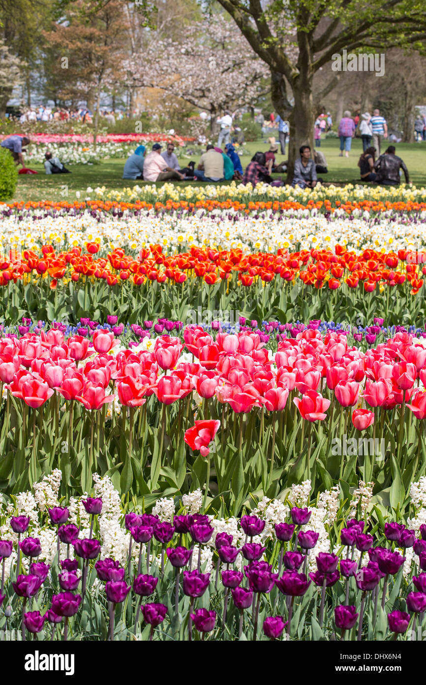 Pays-bas, lisse, les jardins de Keukenhof Banque D'Images