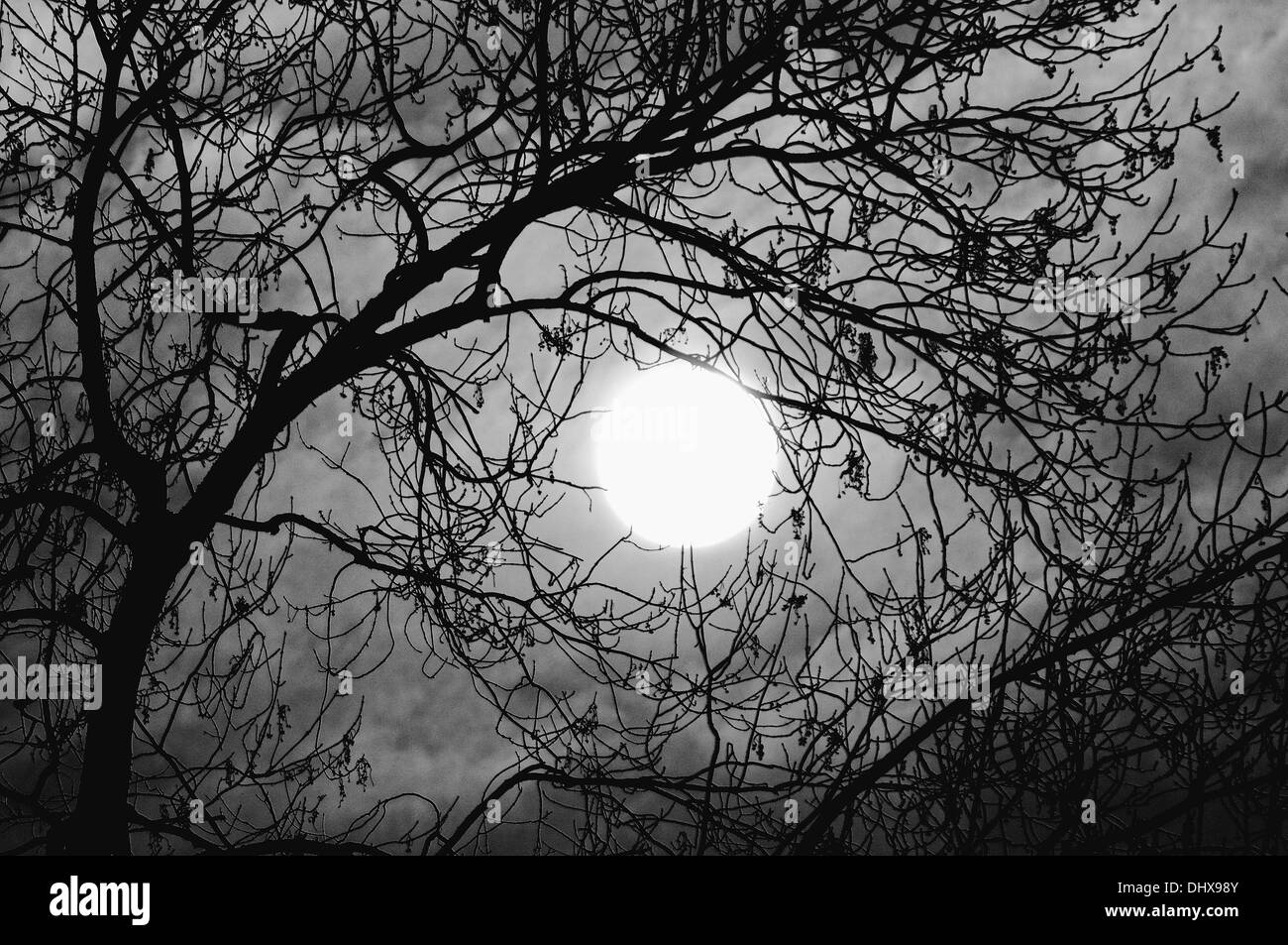 Soleil noir et blanc Banque D'Images