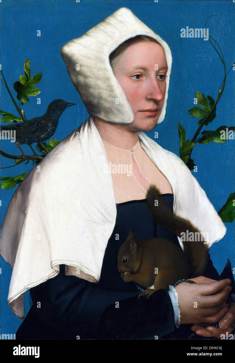 Dame à l'écureuil et Starling - par Hans Holbein le Jeune, 1528 Banque D'Images