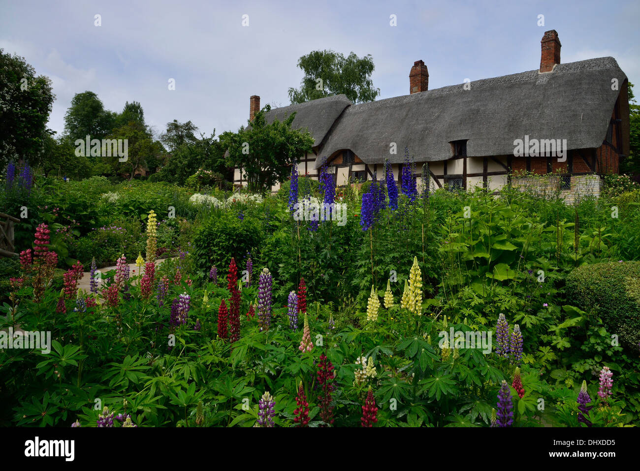 Anne Hathaway's Cottage Tudor (William Shakespeare's wife) Banque D'Images