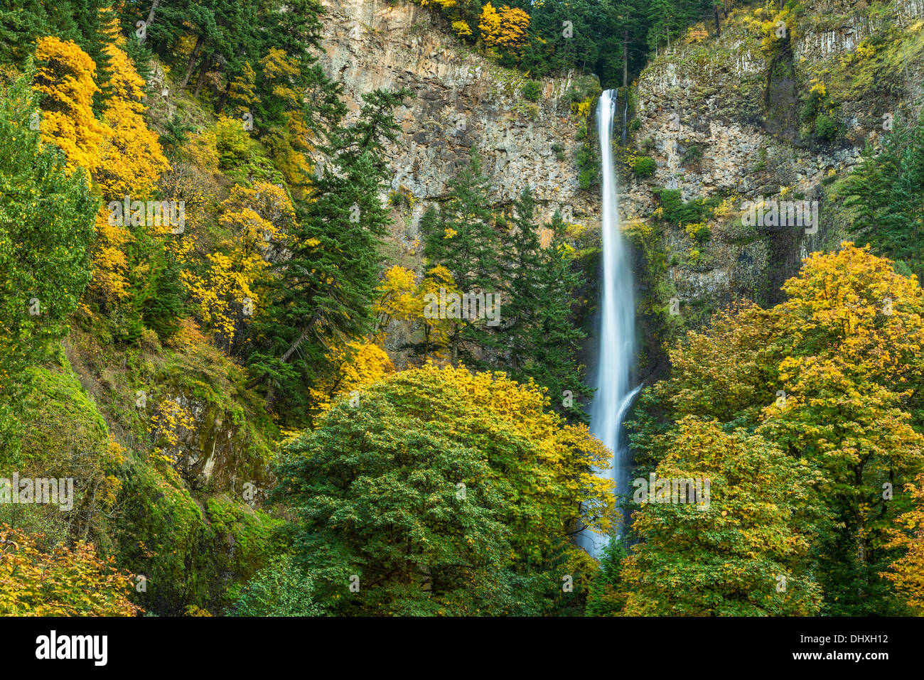 Chutes de Multnomah en automne, Columbia River Gorge National Scenic Area, Oregon. Banque D'Images
