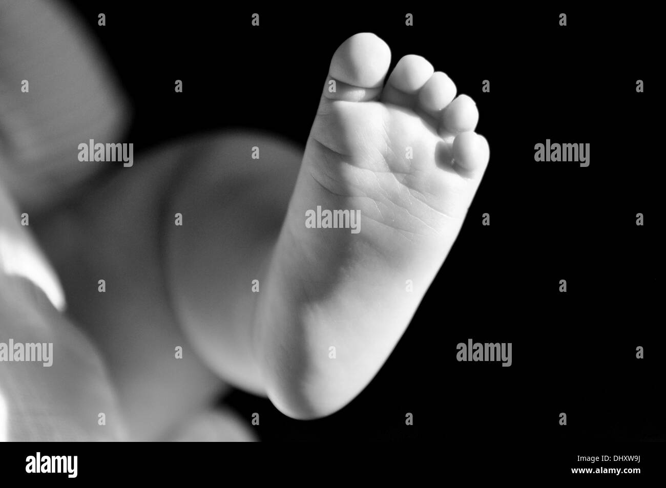 pied de bébé Banque D'Images