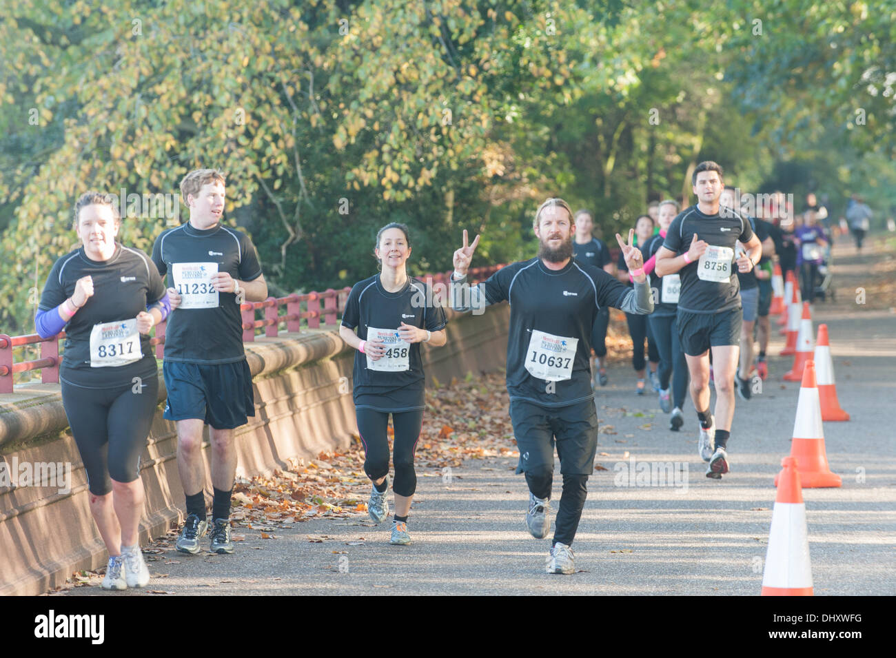 Battersea Park, London, UK. 16 novembre 2013. Runners race autour de Battersea Park qu'ils participent à la santé de la survie du plus fort d'une course d'aventure. Crédit : Matthieu Chattle/Alamy Live News Banque D'Images
