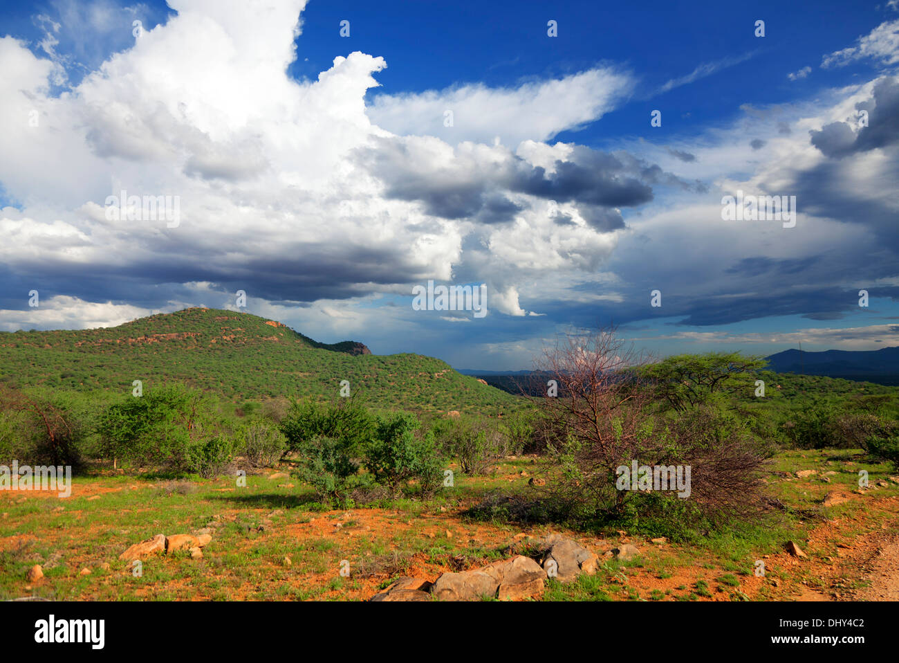 La Réserve nationale de Samburu, Kenya Banque D'Images