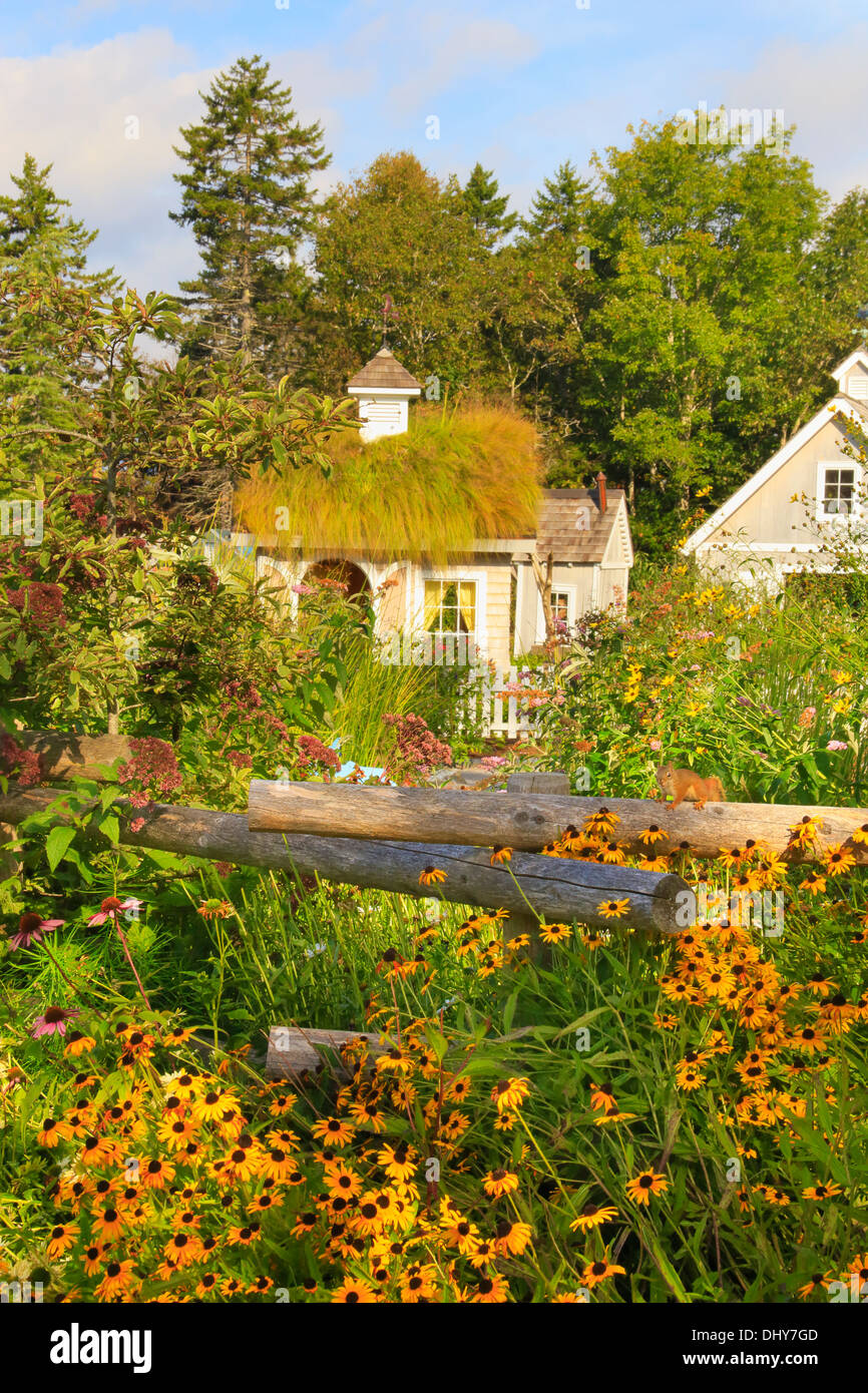 L'Écureuil roux, le jardin d'enfants, jardins botaniques de la côte du Maine, à Boothbay, Maine, États-Unis Banque D'Images