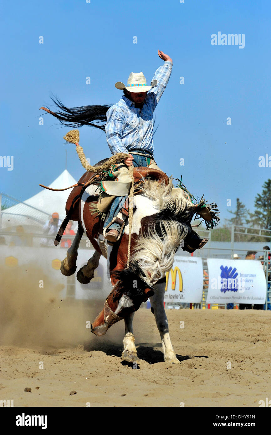 Un cowboy monte un monte de tronçonnage à un événement saddle bronc riding Banque D'Images