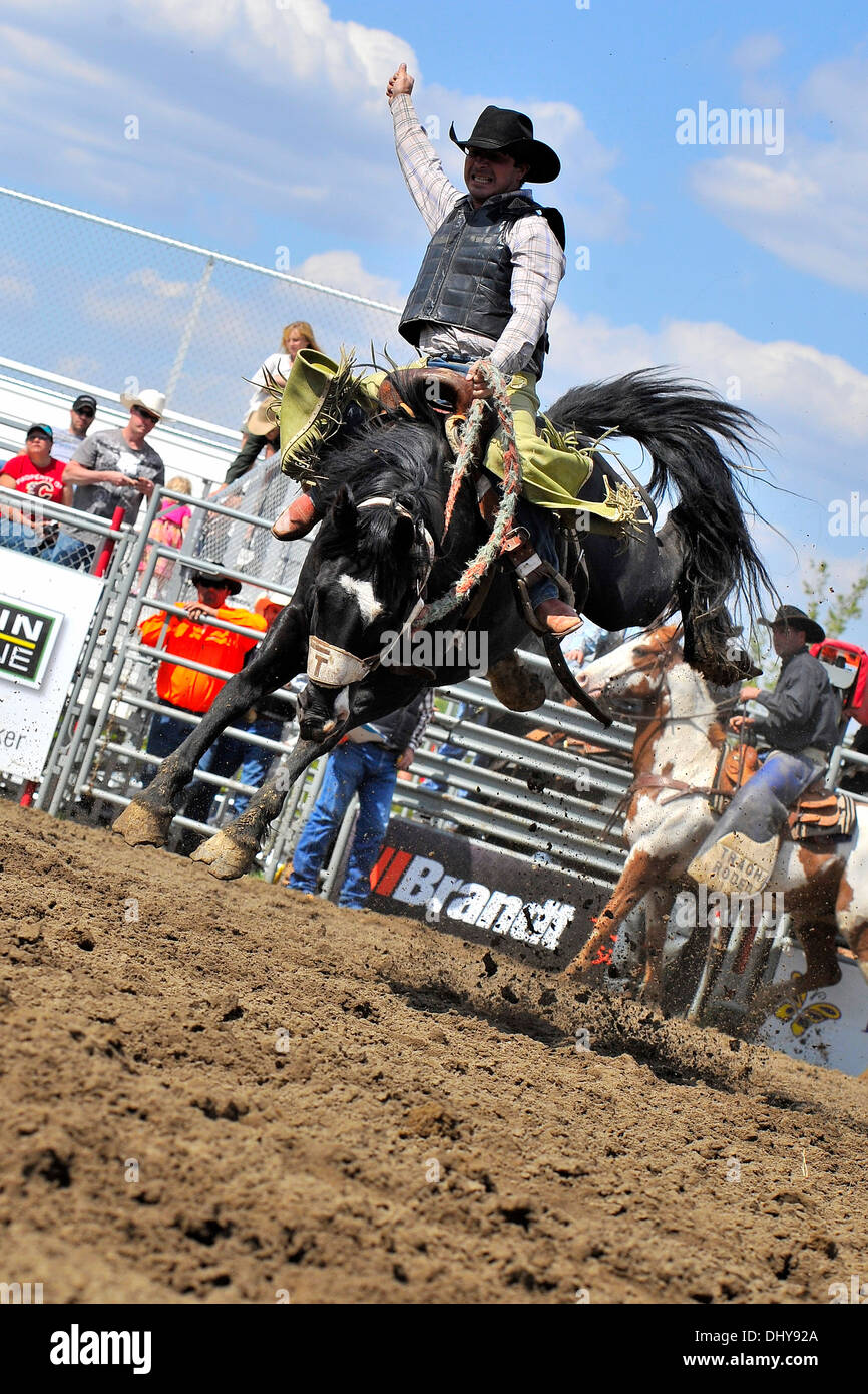 Un cowboy monte un bucking bronc lors d'une monte de chevaux de selle la concurrence Banque D'Images
