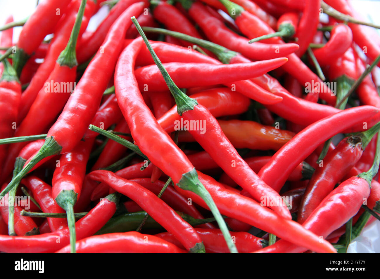 Libre Photo beaucoup de Red Hot Chili. Banque D'Images